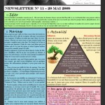 Newsletter n°11