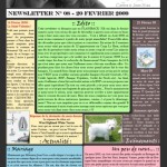Newsletter n°8